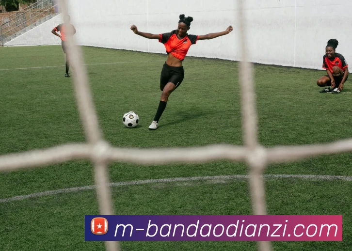 半岛电子平台生态图